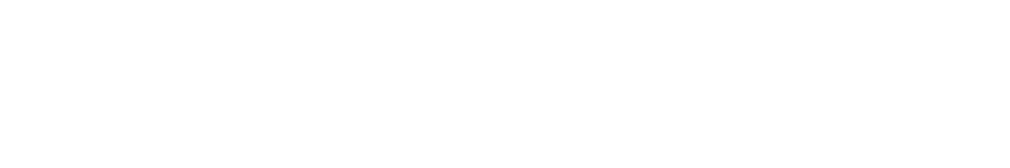 انصاری نت